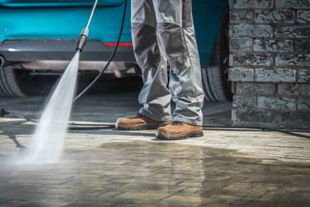 Best Sidewalk and Walkway Cleaning  in Mission, TX