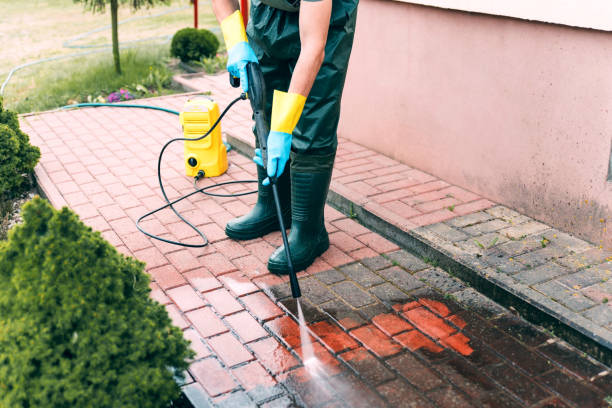 Best Dumpster Area Cleaning  in Mission, TX