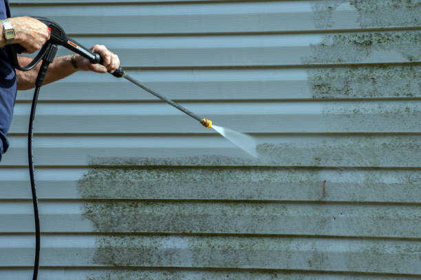 Animal Enclosure Cleaning in Mission, TX